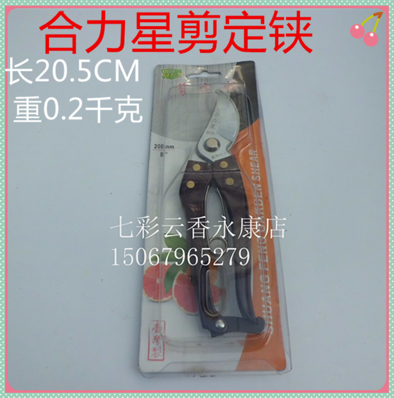 枝剪果树剪刀园林园艺剪刀修枝剪粗枝剪树枝花木修剪花剪工具茶叶
