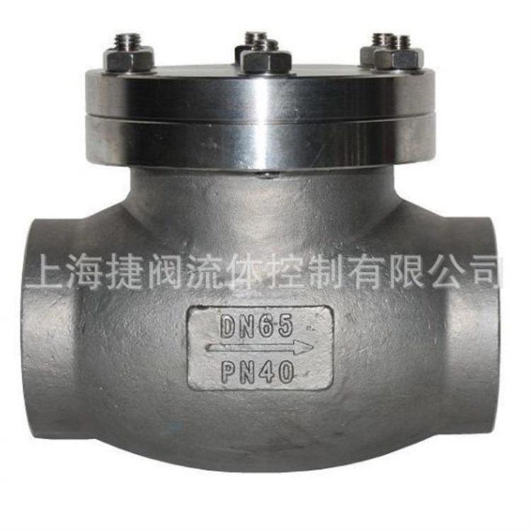 DH61F-40P天然气低温止回阀 低温止回阀 LNG液氧 液氮 液氩止回阀