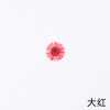 Knitu Xiaofang Poly Pressing Flower DIY Handmade Dripping Glores Drustering Flower Mobile Phone Shell Plant Simagon Dry Flower