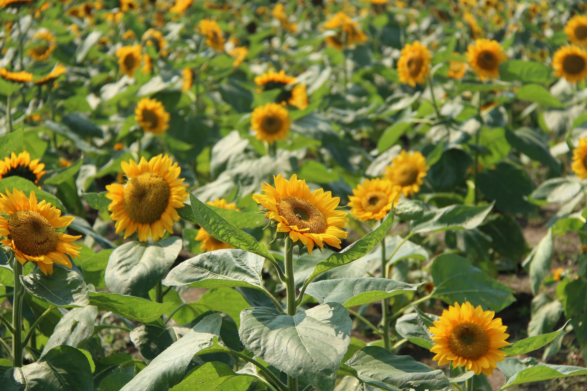 0125bb59e1e9aca80120446373e57d