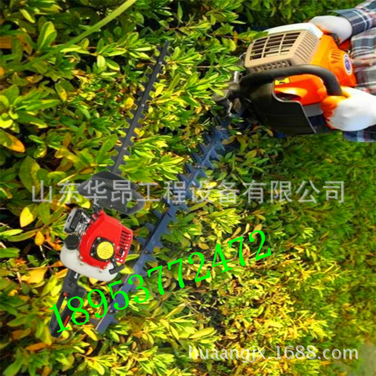 default(11)._副本.jpg