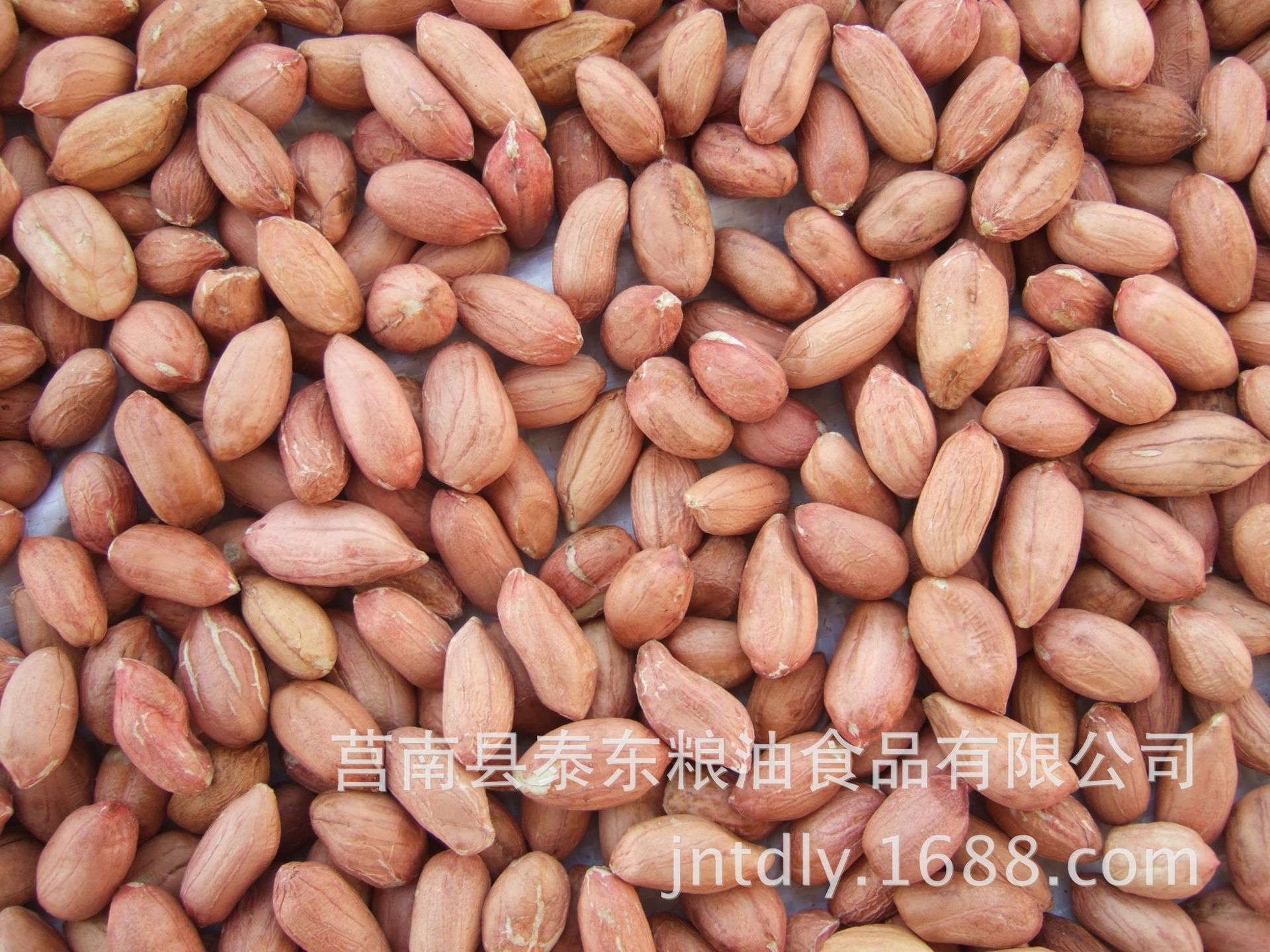 厂家直销中等颗粒花生米 食品厂专用花生米 三号花生仁 新花生
