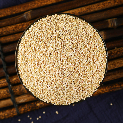 白藜麥 産地批發優質三色藜麥白龍芽米大顆粒白色黎麥500g真空包