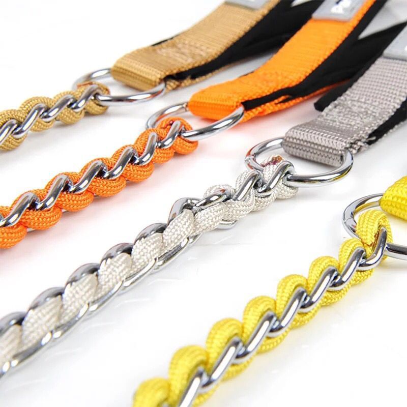 Gold Panda Two-Sided Strap Pet Leash Chew-Resistant Dog Collar Dog Accessories Direct Manufacturer Sale