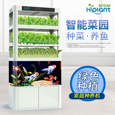 intelligence Vegetables ecology fish tank Symbiotic Soilless cultivate flowers and plants Hydroponic Vegetables Acrylic fish tank