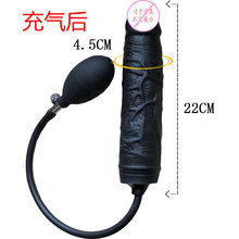 ��̖�����P����ͥ����ꖾ�늄�������Û����������Ȥ��Ʒ�����