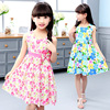 Summer summer clothing, fashionable dress, suitable for teen, western style, floral print