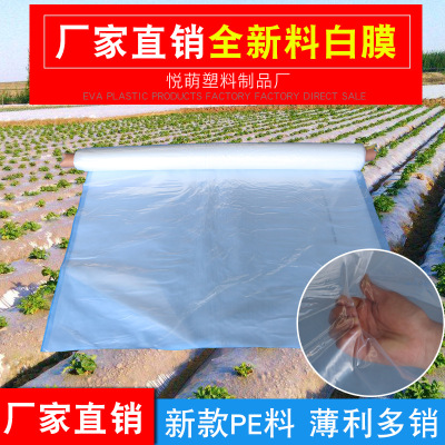 厂家批发农用塑料薄膜PE白色包装筒膜工业包装膜微地膜全新料直供