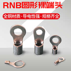 RNB38-6接线鼻子RNB38-5环形铜线耳RNB38-8圆形冷压接线端子38-10