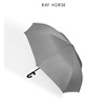 Ray Horse Creative Double -layer Straight Rod Automatic Inverse Umbrella Simple Puritated Large C -type Pass Inverse Umbrella