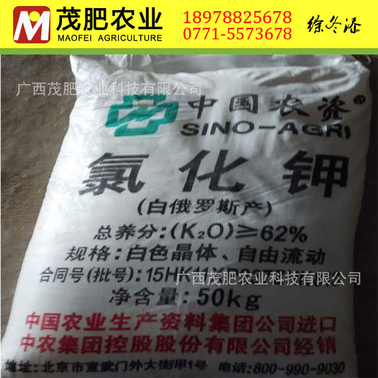 南宁钾肥供应商 氯化钾 来宾 柳州 桂林 防城港 崇佐 氯化钾