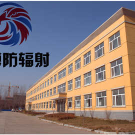 厂家直销铅门 电动 ct室 牙科 放射科 x光室 手动射线防护铅门