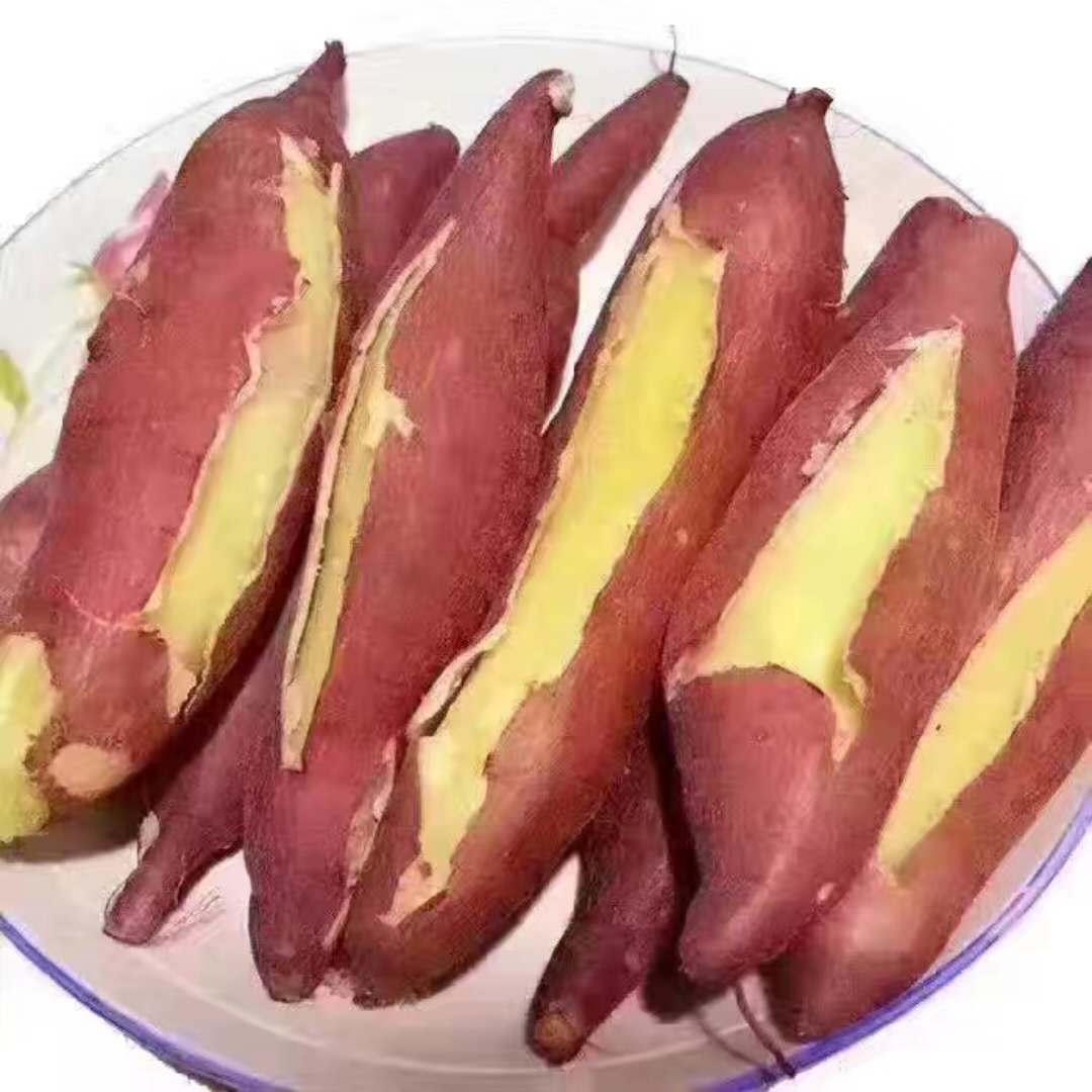 陕西板栗红薯  现挖板栗味红薯  批发红薯非芋头小番薯  代发红薯|ms