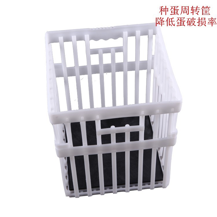 供应塑料种蛋运输筐 配合种蛋托使用 种蛋周转筐