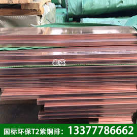 东莞现货接地母线铜排 国标环保T2紫铜排 红铜排 规格齐全