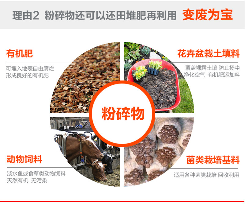 8630683593_1245149814