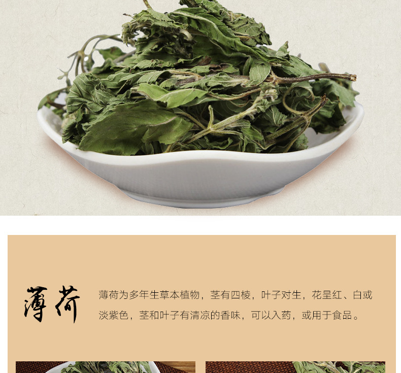 Mint Leaves (Mentha haplocalyx) — Dried Food-Herb for Cooling Herbal Teas & Blends overview