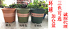 环球 Gallon Pot Pot Gallon Pot Flower Plastic Plastic Rose Bald Poor Permanent Polynuts