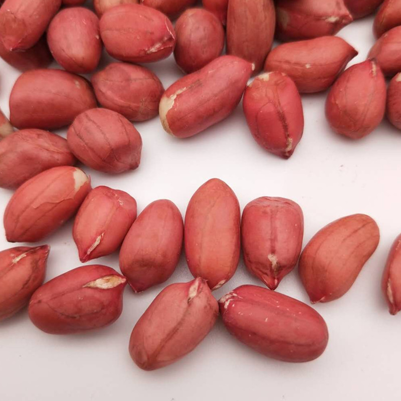 亦可四粒紅花生米批發紅皮生花生米農家自産花生五谷雜糧散裝500g