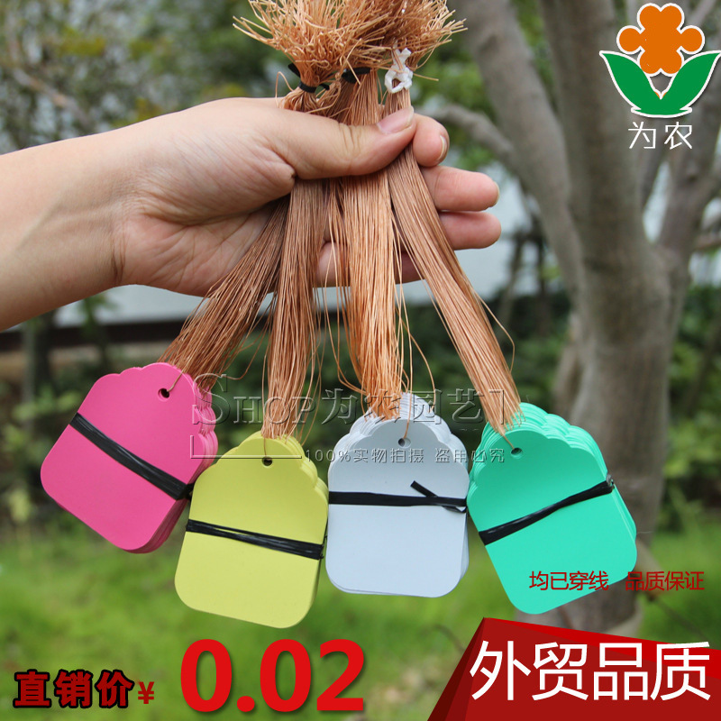 2527992362_782968901