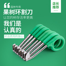 金刃环割刀果树环剥刀葡萄修枝蜜柚苹果梨树枣树桃树园艺环剪刀