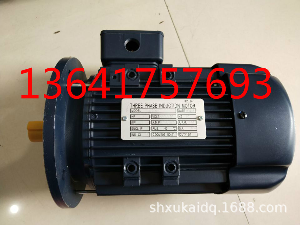 THREE PHASE INDUCTION MOTOR电机 YSJ8024 YSJ8024