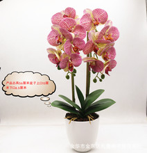 3d��ӡ�����m���滨�Ӽ��b[�������辰ֲ��ٻ��������l