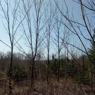 �|���������l�ͺ��ΗUˮ���� �|���� �r��� �ɻ�� �YԴ����