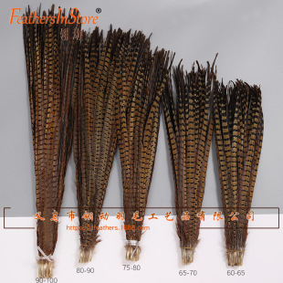 �S�����l�F؛����ɽ�uβë  ɽ�uë Ұ�uë���l 10-100���׸��ߴ�