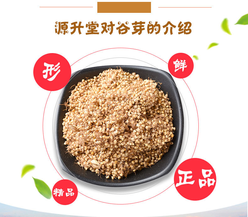 Gu Ya (Setaria italica Sprouted Grain) — Dried Food Herb for Tea & Congee key features