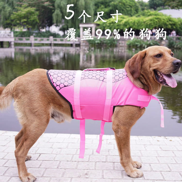 主图