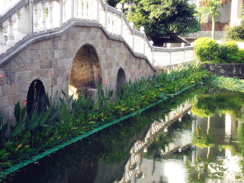 水生态浮床,湖泊美化,水面种植,生态浮床,包设计包施工|ms