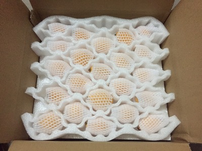 现货云霄枇杷果新鲜琵琶果自家农场一手货源五斤三斤包邮