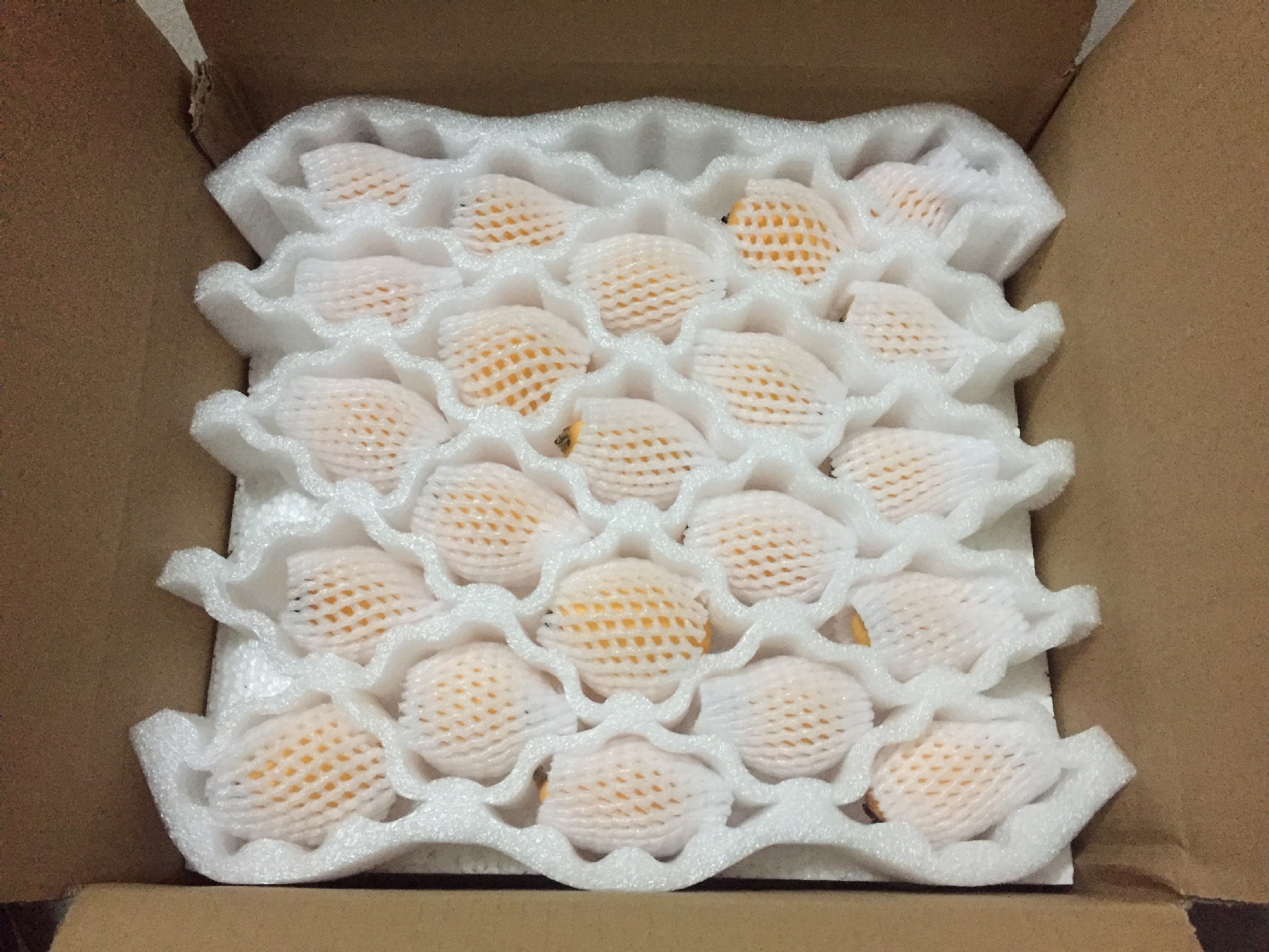 现货云霄枇杷果新鲜琵琶果自家农场一手货源五斤三斤包邮