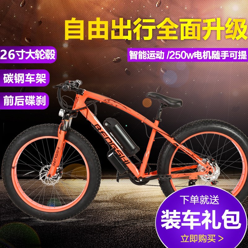 36V电动自行车锂电雪地车山地车助力自行车沙滩车4.0宽轮胎电动车|ru