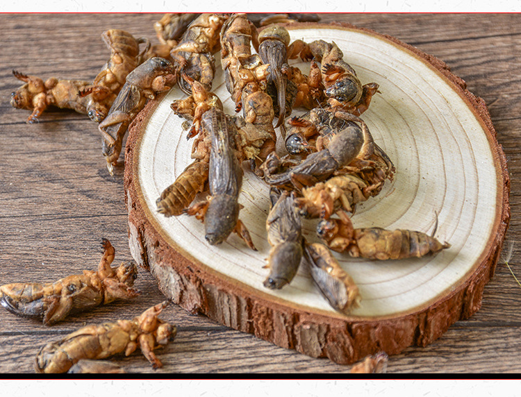 Lou Gu Dried (Gryllotalpa orientalis) — Whole Clean Oriental Mole Cricket Herb key features