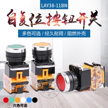 SֱN  LA38-11ƽoԏλ LA38-11BN 203/209B o_P 22mm