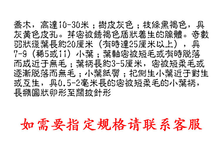 Qing Qian Liu Leaves (Cyclocarya paliurus) — Dried Food Herb for Herbal Tea & Decoction quality and texture