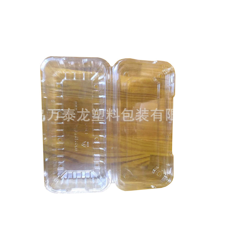 青岛厂家供应pet塑料透明水果盒 包装盒250g蓝莓包装盒