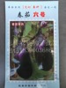 Vegetable Seeds wholesale Spring Demon No. 6 Eggplant Seeds Green Deloma Green Meat extremely Early Clicks and Miscellaneous Generation