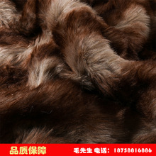 ����ëƤ�pɫ�Q�l�ǹ�ë��ëƤ��Ƥëë�q���Ϸ�Ƥ�ݸ߿��؄���ë