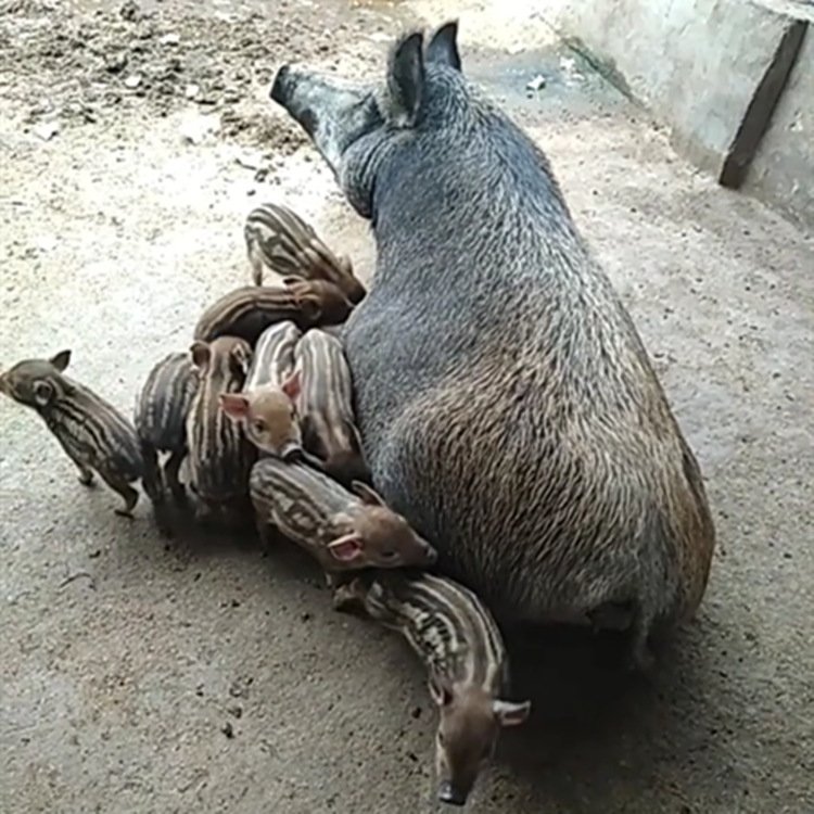 Screenshot_2018-01-05-11-21-45