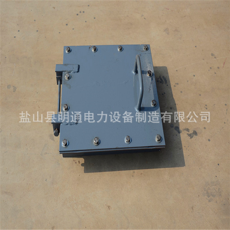 厂家专业生产烟道除灰孔 300*300烟道除灰孔55001 DD5501现货