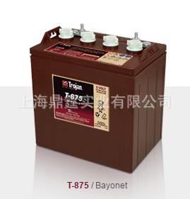 ����  ������  Trojan T-875