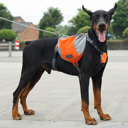 Pet supplies backpack harness for medium and large dogs, travel backpack, training pack