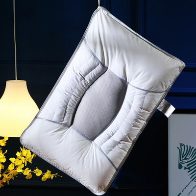 厂家直销全棉决明子枕头 成人护颈纯棉花草药包枕芯 会销礼品枕心|ms