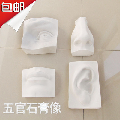 Features Nose and mouth Plaster Teaching aids mould Sketch still life sketch Fine Arts teaching material Geometry