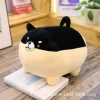 Black Shiba Inu