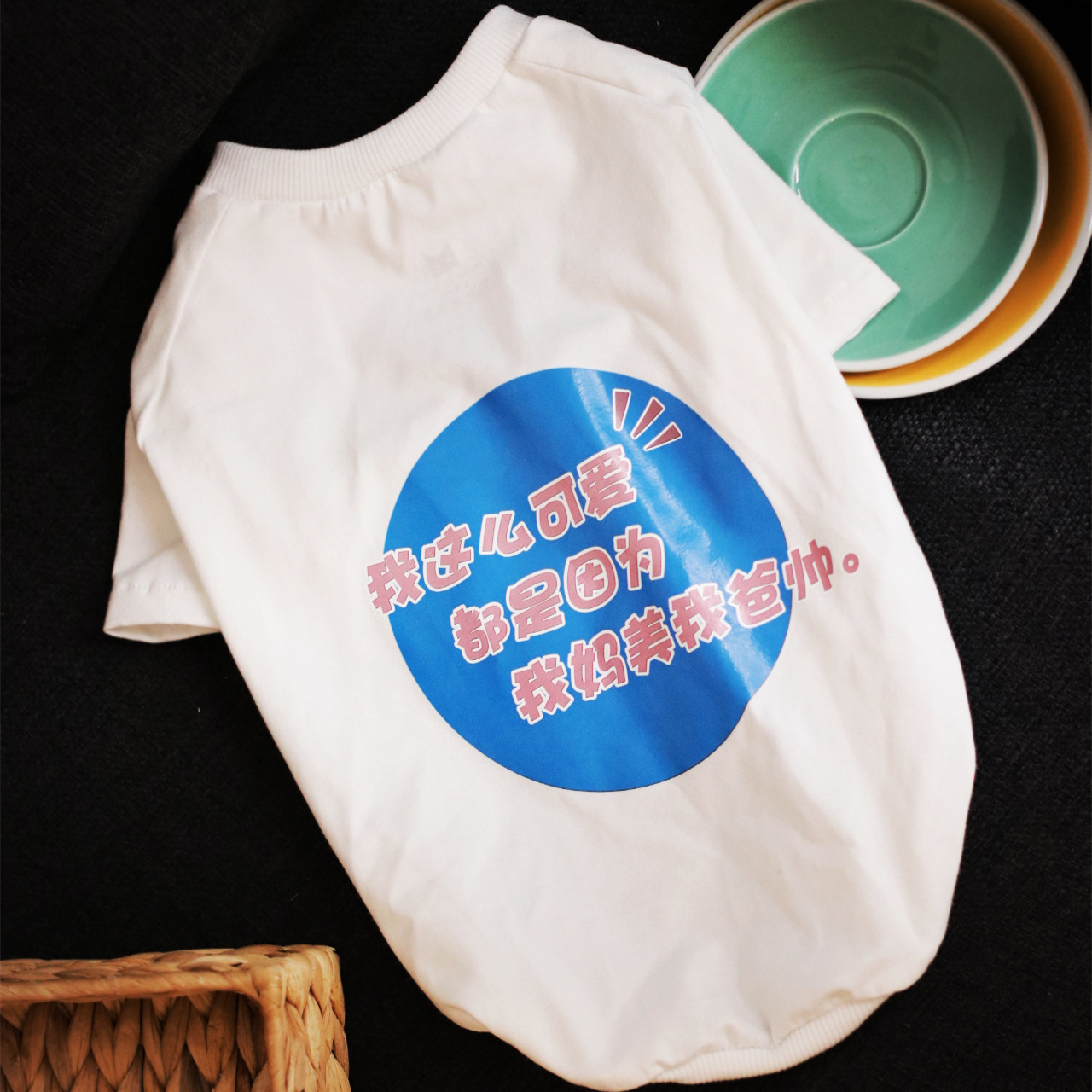 寵物貓咪狗狗衣服柴犬柯基春秋夏薄款新款潮流抖音T恤背心泰迪