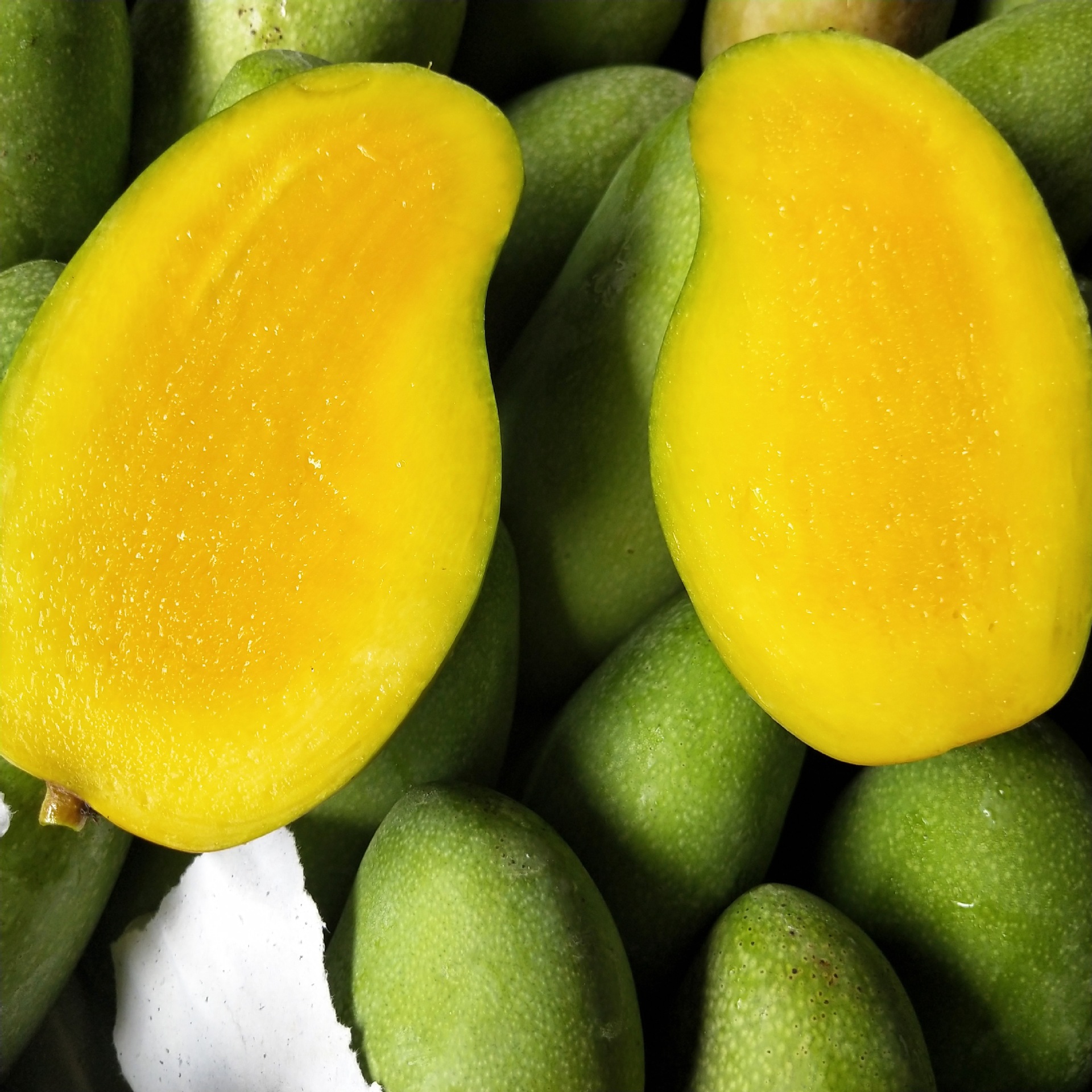 supply Mango Vietnam Sweetheart fresh fruit Price Cheap Welcome wholesale Order